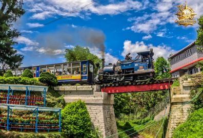 darjeeling