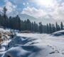 kashmir tour