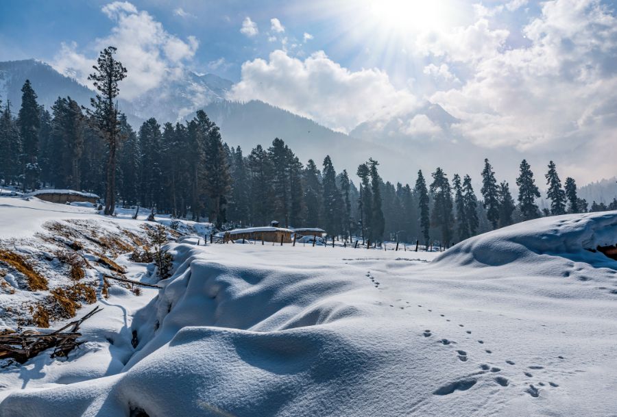 kashmir tour